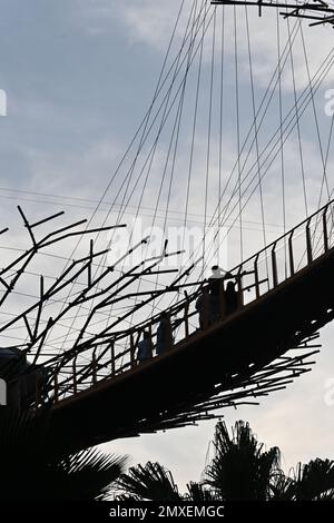 Silhouette von Menschen, die auf einer Brücke in Supertree Grove gehen, baumähnliche Strukturen, die eine Vielzahl von Funktionen erfüllen, einschließlich Pflanzen und shadi Stockfoto