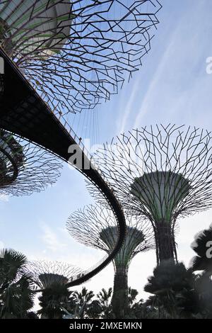 Nahaufnahme von Supertree Grove, einem baumähnlichen Bauwerk, das eine Vielzahl von Funktionen erfüllt, einschließlich Pflanzen und Schattieren in den Gärten an der Bucht, Sin Stockfoto