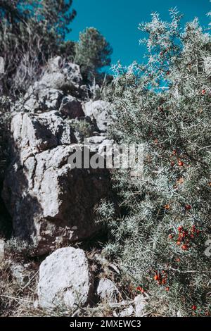 Pfad zum Galera Peak. Provinz Teruel. Spanien Stockfoto