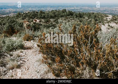 Pfad zum Galera Peak. Provinz Teruel. Spanien Stockfoto