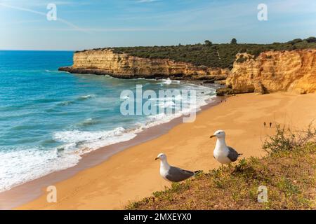 Natürliche Höhlen und Strand, Algarve Portugal. Felsbögen von sieben Hängenden Tälern und türkisfarbenes Meerwasser an der Küste Portugals in der Region Algarve Stockfoto