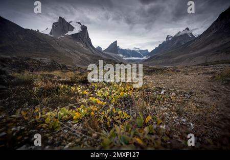Breidablik Peak und Mt. Thor vom Akshayak Pass aus gesehen, Baffin Island Stockfoto