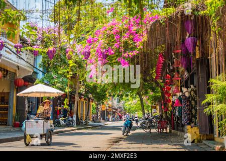Farbenfrohe, farbenfrohe Straße mit Laternen und hängenden violetten Blumen bei Tag in Hoi an, Vietnam. Stockfoto