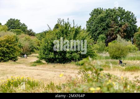 Tolworth & Kingston upon Thames Dreharbeiten in der Umgebung Stockfoto