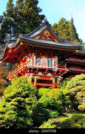 Japanischer Teegarten im Golden Gate Park in San Francisco, Kalifornien. Auch Teil des botanischen Parks von San Francisco. Stockfoto