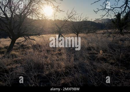 Felder in Matarranya. Eine Region der Provinz Teruel, Spanien Stockfoto