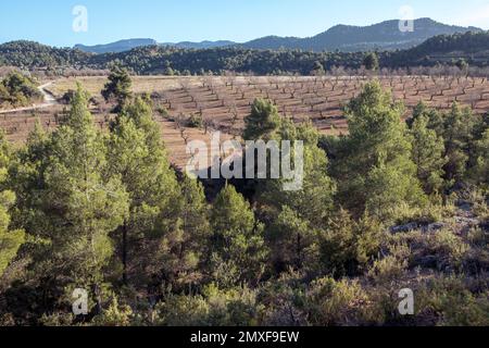 Felder in Matarranya. Eine Region der Provinz Teruel, Spanien Stockfoto