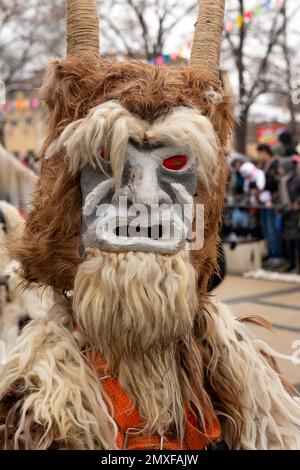 Seltsame Maske, die Monster auf dem Surva International Masquerade and Mummers Festival in Pernik, Bulgarien, Osteuropa, Balkan, EU darstellt Stockfoto