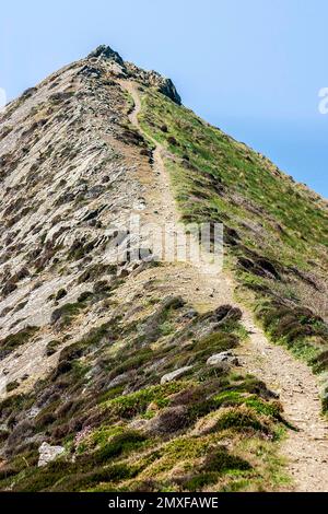 Rauer Pfad entlang der Küste von Pentire Point cornish. Pfad entlang der klippen der küste von cornish Stockfoto