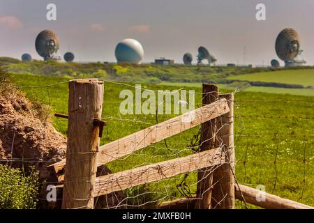 Morwenstow GCHQ Radiosatellitenstation. Radioteleskope, GCHQ Bude, Schafe und Zäune im Vordergrund, Cornwall Stockfoto