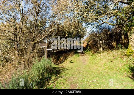 Fußweg Blick auf Torrington Common Land mit hölzernem Wegweiser in vier Richtungen. Stockfoto