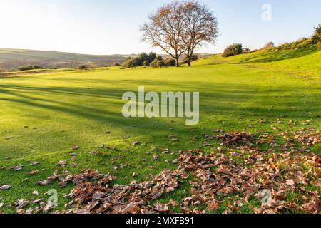 16. Loch: Herbstblick über Ein Grün auf dem Great Torrington Golfplatz in Richtung Monkleigh. Stockfoto