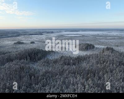 Luftaufnahme einer frostigen wilden Landschaft mit Wäldern und Feldern im Winter Stockfoto