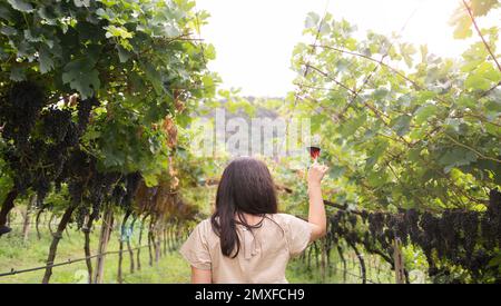 Wunderschöne Frau träumt von Rotwein und genießt den Sommeraufenthalt in Weinbergen an einem schönen sonnigen Tag. Eine Frau, die Rotwein trinkt. Erntesaison. Hochwertiges Foto Stockfoto