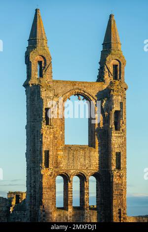 St Andrews Cathedral Stockfoto