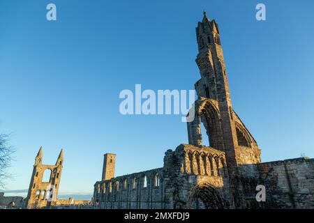 St Andrews Cathedral Stockfoto