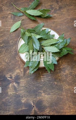 Kräuter und Gewürze. Frische Lorbeerblätter auf rustikalem Holzhintergrund. Speicherplatz kopieren. Stockfoto