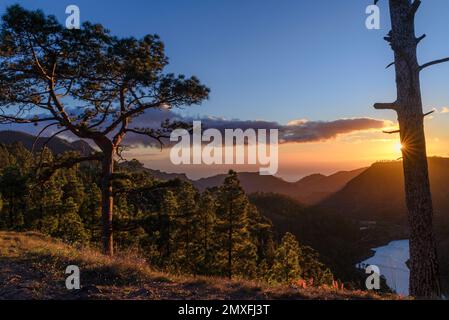 Blick auf den Roque Nublo Rural Park atb Sonnenuntergang, Gran Canary, Kanarische Inseln, Spanien Stockfoto