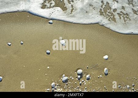 Meeresschaum und weiße Kieselsteine unterschiedlicher Größe auf dem nassen Sand am Ufer des Ligurischen Meeres bei Pisa in Italien. Selektiver Fokus Stockfoto