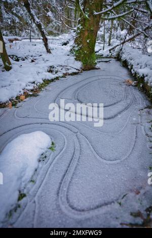 Gefrorene Pfütze mit Ringen, Matsch und Gras an einem kalten Herbstmorgen. Stockfoto