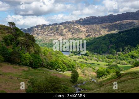 Sehen Sie den Cwm Llan nach Nant Gwynant an einem wunderschönen Frühlingstag im Snowdonia-Nationalpark, Nordwales. Stockfoto