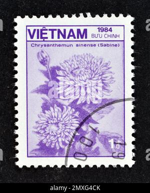 Abgesagte Briefmarke, gedruckt von Vietnam, die Chrysanthemum sinense zeigt, circa 1984. Stockfoto