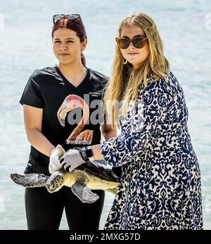 WILLEMSTAD - Prinzessin Amalia lässt eine Schildkröte ins Meer während eines Besuchs im Sea Turtle Conservation Curacao. Die Kronprinzessin hat eine zweiwöchige Einführung in die Länder Aruba, Curacao und St. Maarten und die Inseln, die die karibischen Niederlande bilden: Bonaire, St. Eustatius und Saba. ANP REMKO DE WAAL netherlands Out - belgien Out Credit: ANP/Alamy Live News Stockfoto