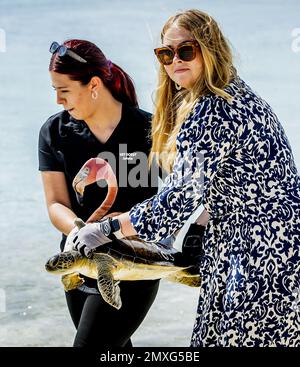 WILLEMSTAD - Prinzessin Amalia lässt eine Schildkröte ins Meer während eines Besuchs im Sea Turtle Conservation Curacao. Die Kronprinzessin hat eine zweiwöchige Einführung in die Länder Aruba, Curacao und St. Maarten und die Inseln, die die karibischen Niederlande bilden: Bonaire, St. Eustatius und Saba. ANP REMKO DE WAAL netherlands Out - belgien Out Credit: ANP/Alamy Live News Stockfoto