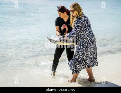 WILLEMSTAD - Prinzessin Amalia lässt eine Schildkröte ins Meer während eines Besuchs im Sea Turtle Conservation Curacao. Die Kronprinzessin hat eine zweiwöchige Einführung in die Länder Aruba, Curacao und St. Maarten und die Inseln, die die karibischen Niederlande bilden: Bonaire, St. Eustatius und Saba. ANP REMKO DE WAAL netherlands Out - belgien Out Credit: ANP/Alamy Live News Stockfoto