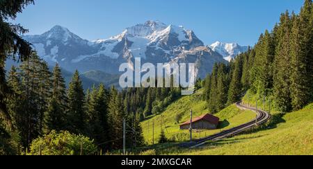 Die Jungfrau paek in den Berner alpen mit der Bahn über die alpenwiesen. Stockfoto