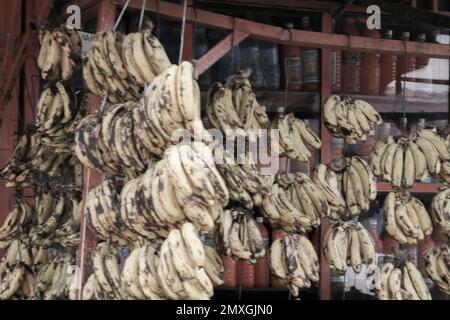 Ich studierte Tischlerei in Finnland und wurde gebeten, nach Äthiopien zu gehen. Alle Porträts und die Menschen sind das Personal der Fabrik. Nette Leute und die Sonne scheint viel. Holzbearbeitung in Afrika Stockfoto