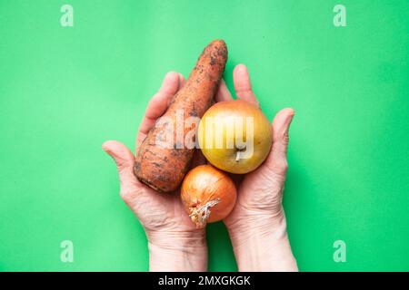 Zwiebeln, Karotten und Apfel schmutzig in den Händen der Großmutter auf dem Tisch, Ernte, Gemüse und Obst Stockfoto