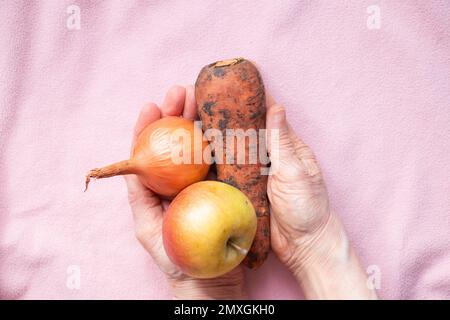 Zwiebeln, Karotten und Apfel schmutzig in den Händen der Großmutter auf dem Tisch, Ernte, Gemüse und Obst Stockfoto