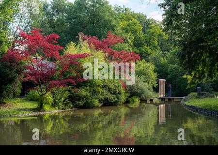 Japanisches Teehaus Kanshoan im Englishergarten in München mit dem Schwabinger bach Stockfoto