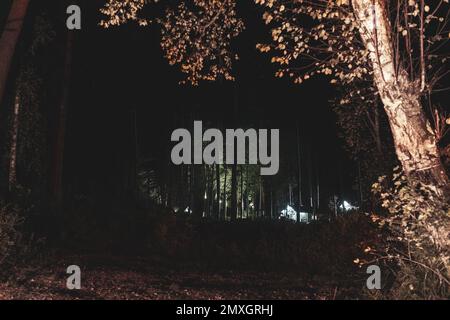 Beleuchtet durch das Licht der Lampen, Häuser eines Erholungszentrums im Wald bei Nacht. Stockfoto