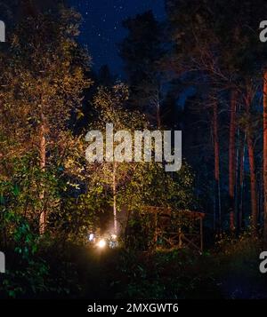 Silhouetten von zwei Freundinnen, die am Feuer unter großen Bäumen neben dem Pavillon sitzen, bei Nacht im Wald mit Sternen im Dunkeln. Stockfoto