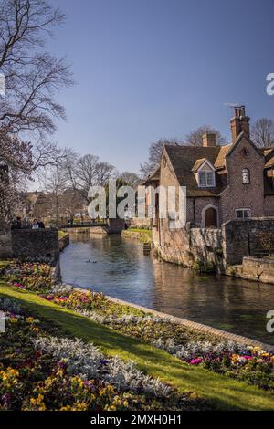 Fluß Stour, Canterbury, Kent, England Stockfoto