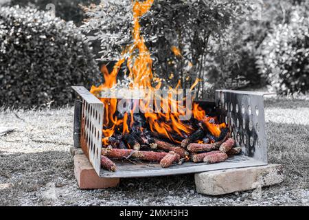 Beginnen Sie mit einem Barbecue mit Freunden. Hausgemachte Holzkohle in Vorbereitung. Lagerfeuer im Wald. Stockfoto