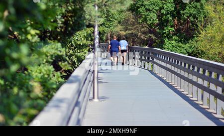 Hölzerne Promenade inmitten des Grüns, das auf den Dünen wächst. Stockfoto