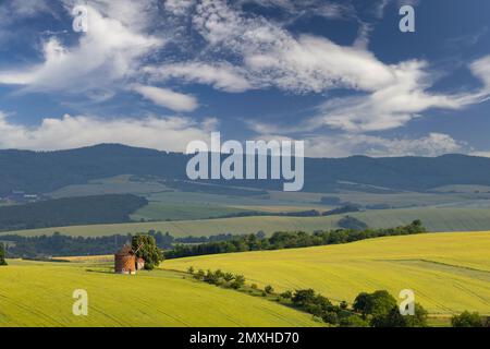 Windmühle in Chvalkovice, Südmähren, Tschechische Republik Stockfoto