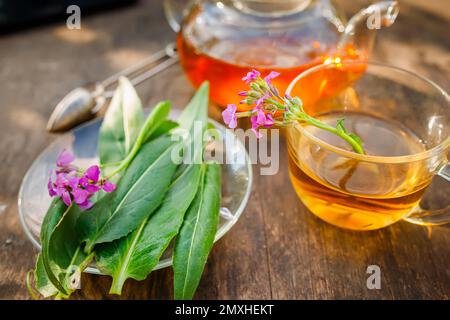 tasse Kräutertee mit frischen Blättern und Blumen Matthiola incana, Brompton-Vorrat, gemeinsamer Vorrat, Hufenvorrat, zehnwöchiger Vorrat, Und gilly-Flower Tee mit Stockfoto