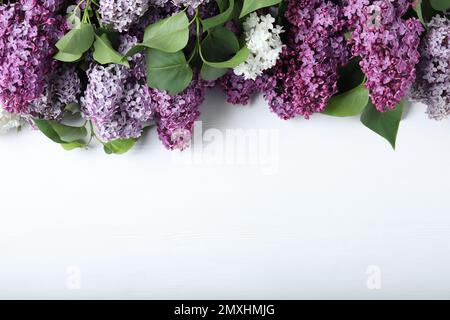 Verschiedene blühende Fliederäste auf weißem Holzhintergrund, flach verlegt. Platz für Text Stockfoto