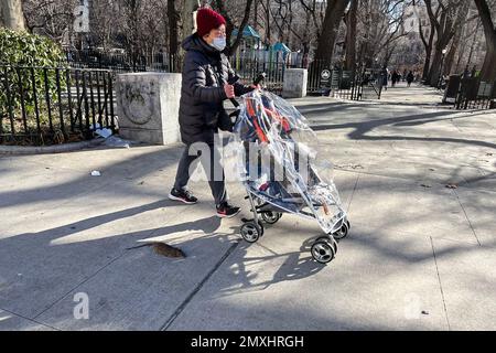 New York, USA. 03. Februar 2023. Eine tote Ratte liegt am 3. Februar 2023 vor dem Seward Park in New York. Im November unterzeichnete Bürgermeister Eric Adams ein Gesetz, das als Rat-Aktionsplan bekannt ist. Die Stadt berichtet, dass die Sichtung von Ratten um 142% seit der Pandemie gestiegen ist. Die Stadt kündigte außerdem einen neuen Job als Director of Rodent Mitigation an. (Foto: Samuel Rigelhaupt/Sipa USA) Guthaben: SIPA USA/Alamy Live News Stockfoto