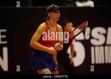 Tamara KORPATSCH (GER) während der Open 6E Sens - Metropole de Lyon, WTA 250 Tennis Turnier am 1. Februar 2023 im Palais des Sports de Gerland in Lyon, Frankreich - Photo Romain Biard / Isports / DPPI Stockfoto