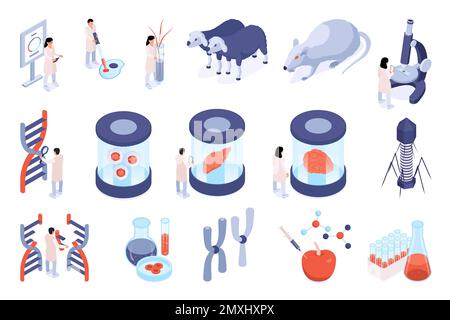 Isometrischer Gentechnik-Satz mit wissenschaftlichen Labortests und Experimentsymbolen isolierte Vektordarstellung Stock Vektor