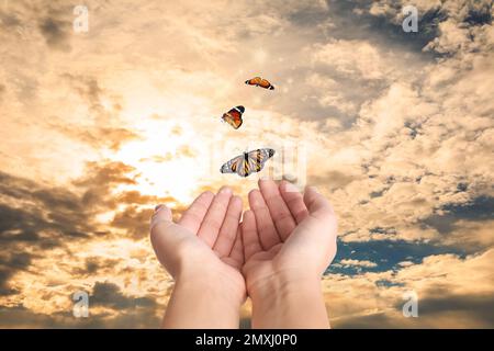 Eine Frau, die Schmetterlinge gegen den schönen Himmel freilässt, Nahaufnahme. Freiheitskonzept Stockfoto