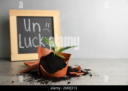 Tafel mit Wort PECH und Pflanze in zerbrochenem Topf auf grauem Steintisch, Platz für Text Stockfoto