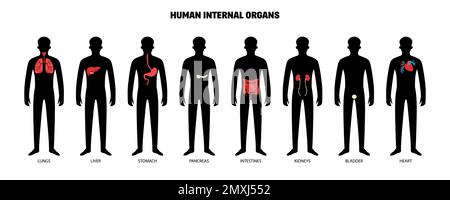 Menschliche innere Organe mit isolierten dunklen Silhouetten des menschlichen Körpers mit farbcodierten Gliedmaßen-Systemen Vektor-Illustration gesetzt Stock Vektor