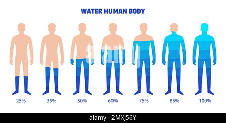 Wasser menschlicher Körper Satz isolierter Infografik Elemente mit Körperformen gefüllt mit Wasser mit prozentualer Vektorgrafik Stock Vektor