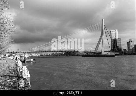 Eine Grauskala der Erasmus-Brücke unter bewölktem Himmel in Rotterdam Stockfoto